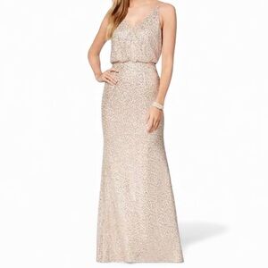 Adrianna Papell Women’s Sequin Shimmering Mesh Gown Maxi Dress size 18